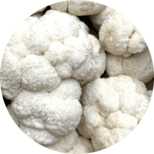Lion’s mane