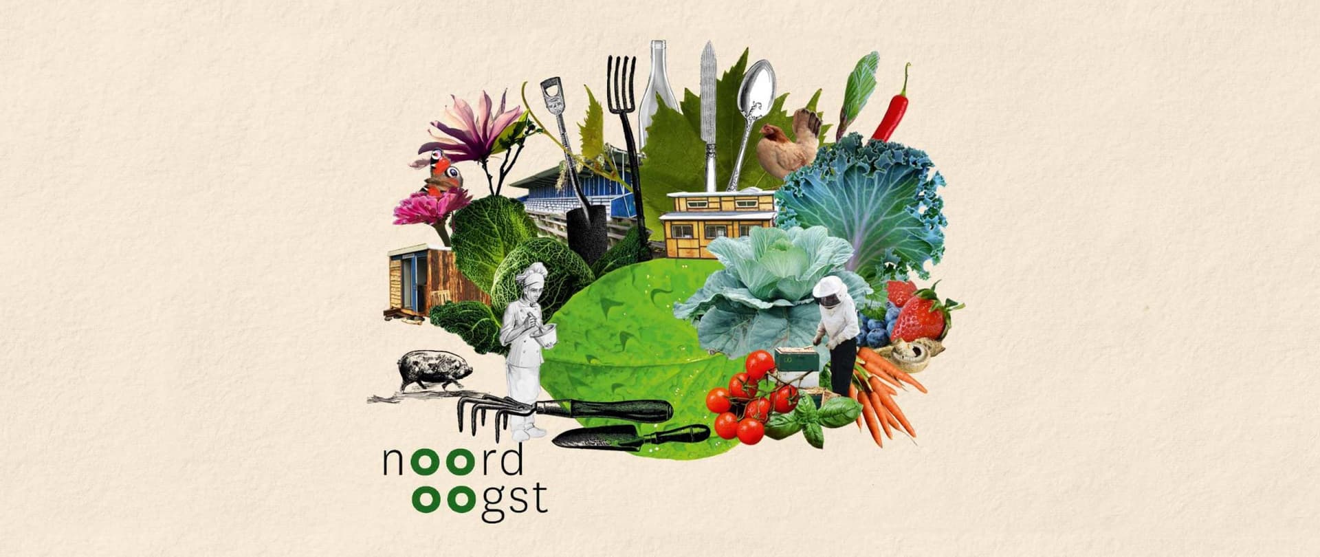 Noordoogst
