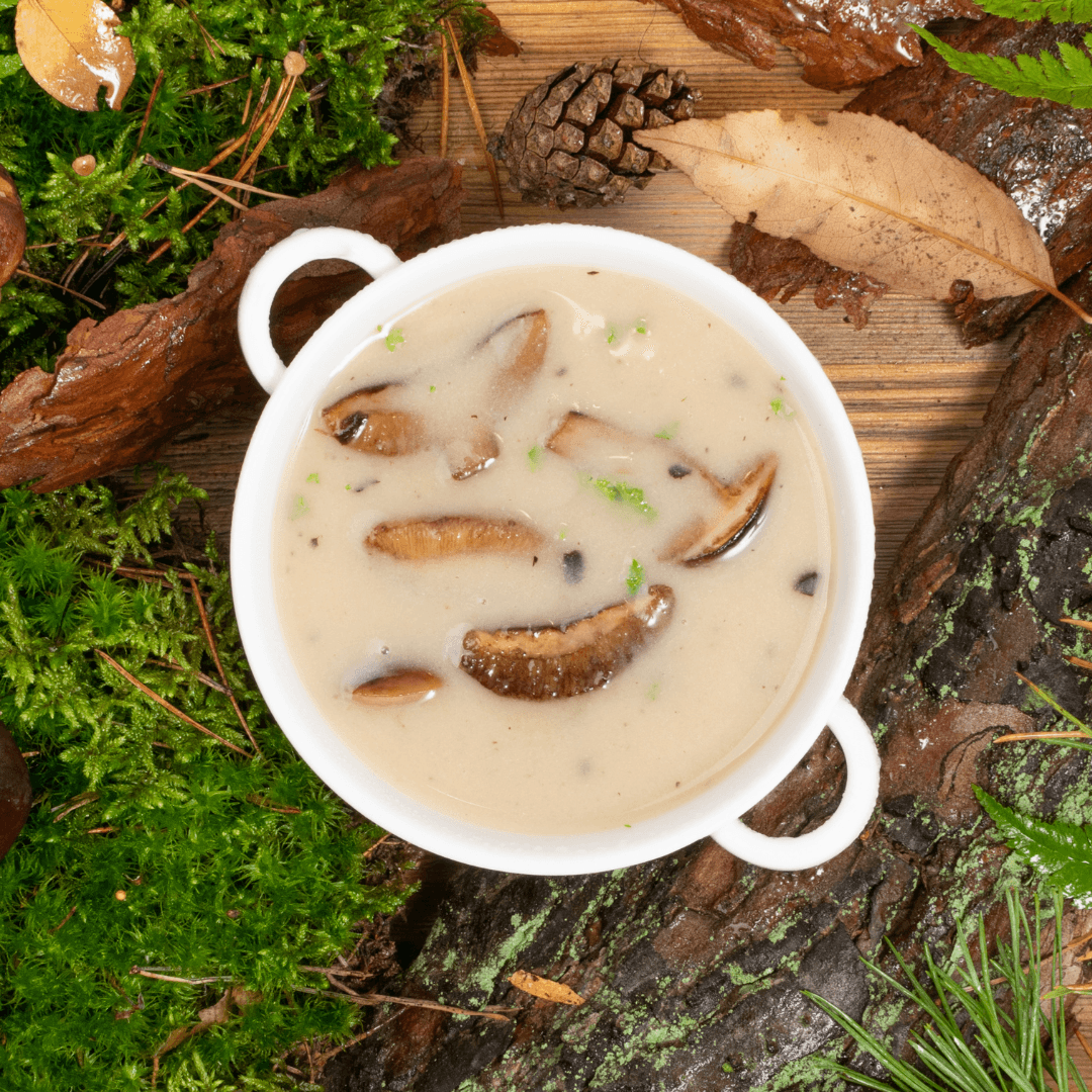 Romige Oesterzwammensoep Recept