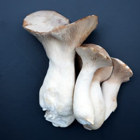 Paddenstoelen als Vleesvervanger | Duurzaam en Gezond