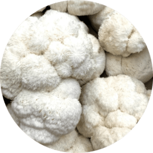 Lion's mane 250 gram vers